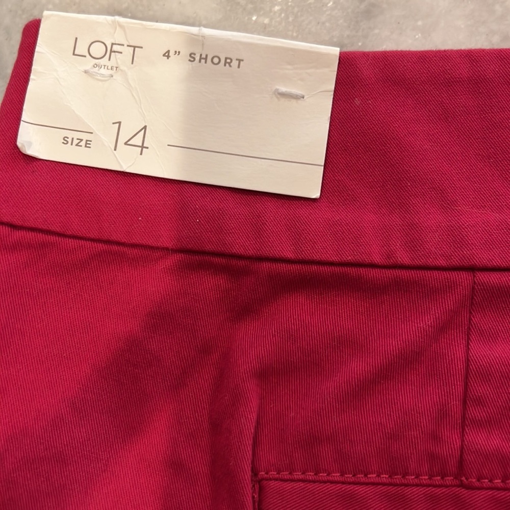Loft shorts - Picture 3 of 5